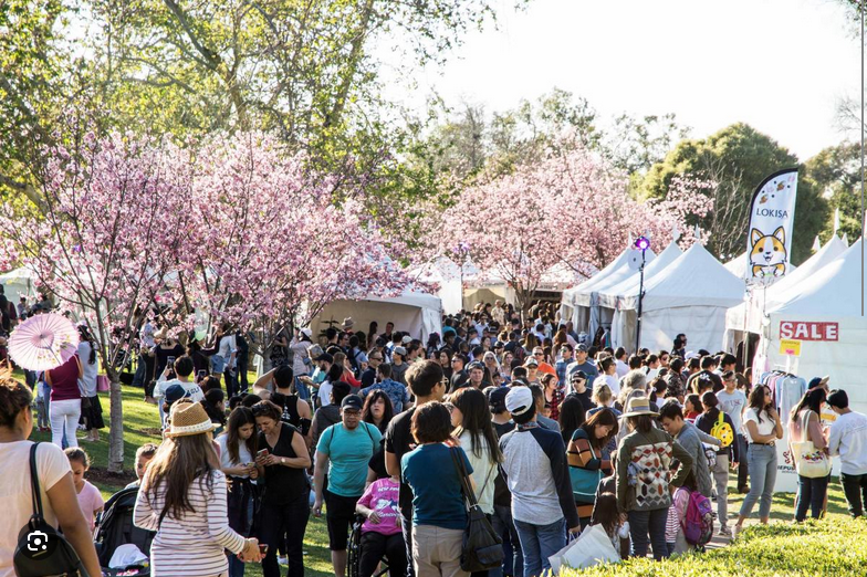 Screenshot 2024 05 16 at 00 06 45 cherry blossom festival los angeles Google Search